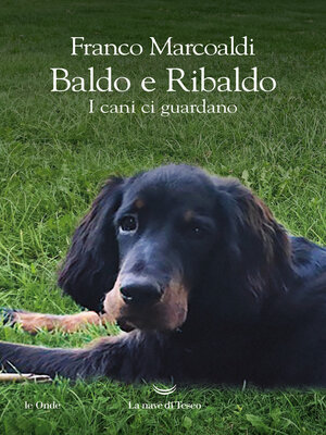 cover image of Baldo e Ribaldo. I cani ci guardano